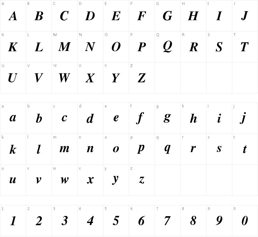 Times Newer Roman Bold Italic的字符映射图