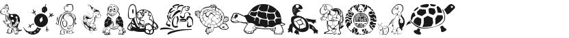 Keya's Turtles的封面图