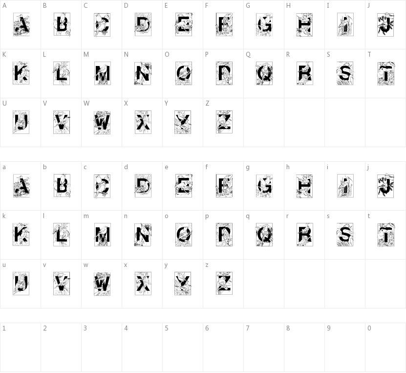 Dover Birds的字符映射图