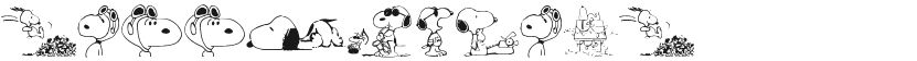 Snoopy Dings的封面图