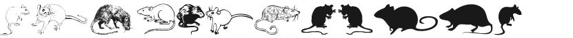Rats的封面图