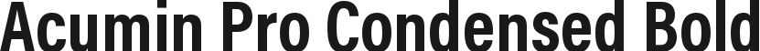 Acumin Pro Condensed Bold的预览图