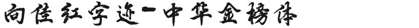 向佳红字迹-中华金榜体的封面图