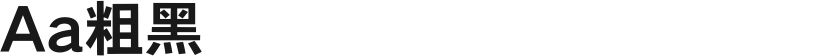 Aa粗黑的封面图