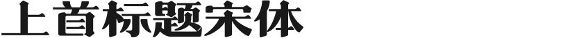上首标题宋体的封面图