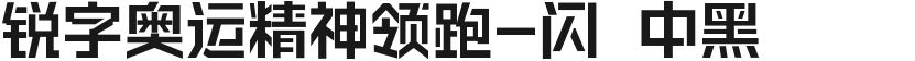 锐字奥运精神领跑-闪 中黑的封面图