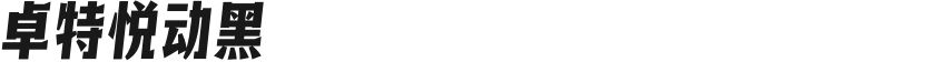 卓特悦动黑的封面图