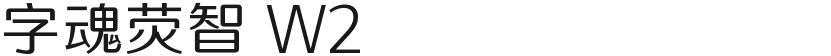 字魂荧智 W2的封面图