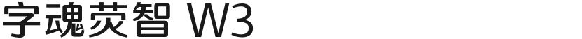 字魂荧智 W3的封面图