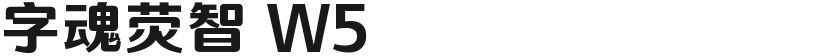 字魂荧智 W5的封面图