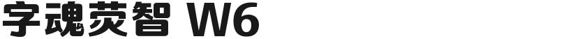 字魂荧智 W6的封面图