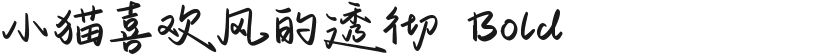 小猫喜欢风的透彻 Bold的封面图