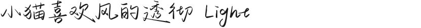 小猫喜欢风的透彻 Light的封面图