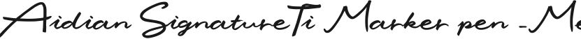 Aidian SignatureTi Marker pen -Medium的封面图