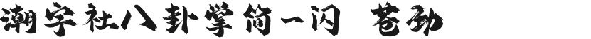 潮字社八卦掌简-闪 苍劲的封面图